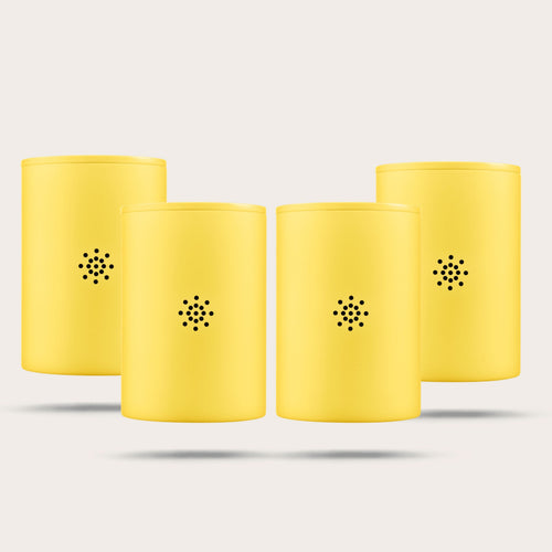 Buy 2 Replacement Filter Get 2 Free