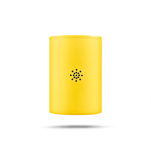 Replacement Filter Subscription