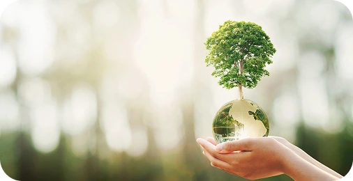 Sustainability Considerations