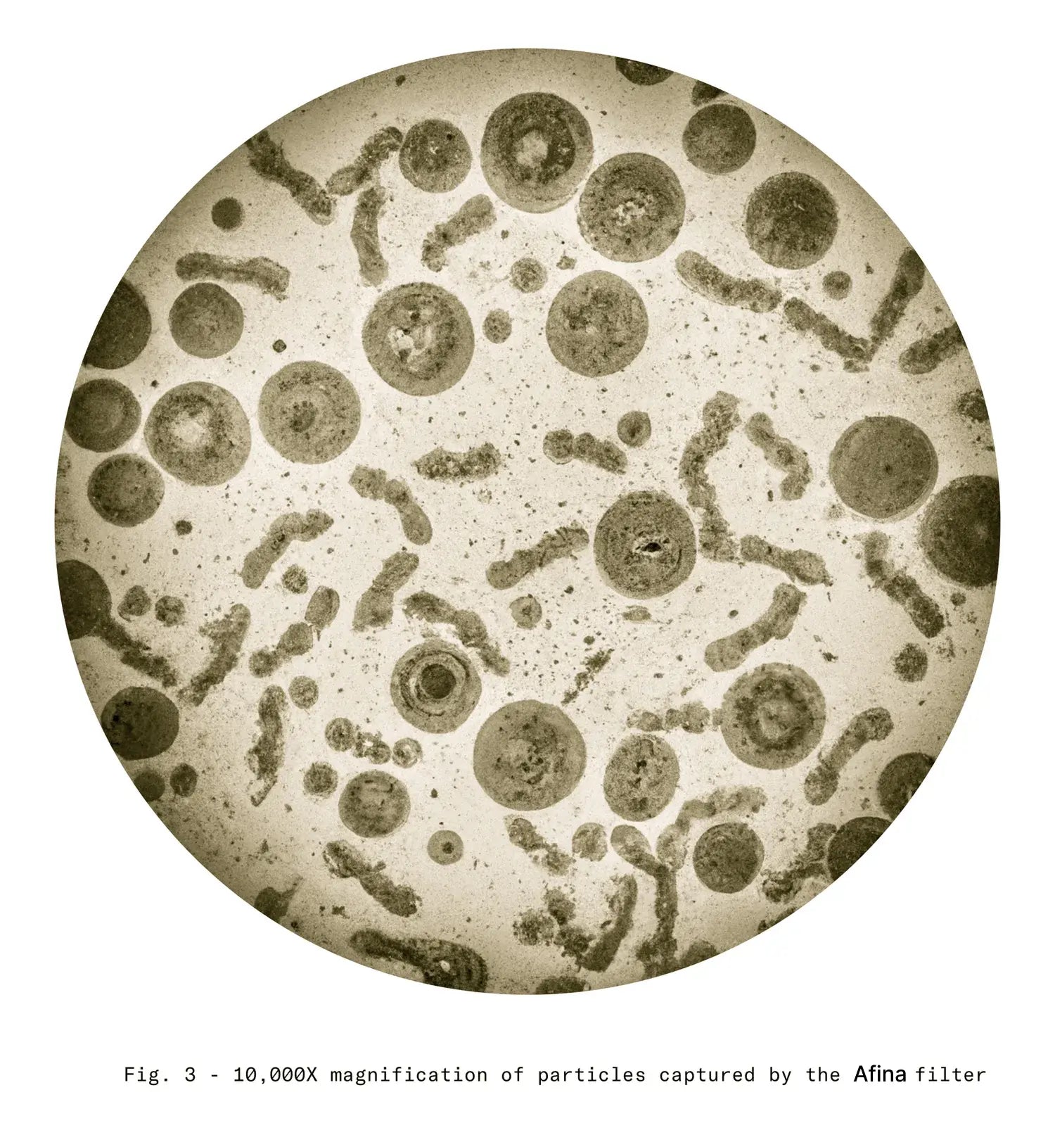 particles captured by the Afina filter